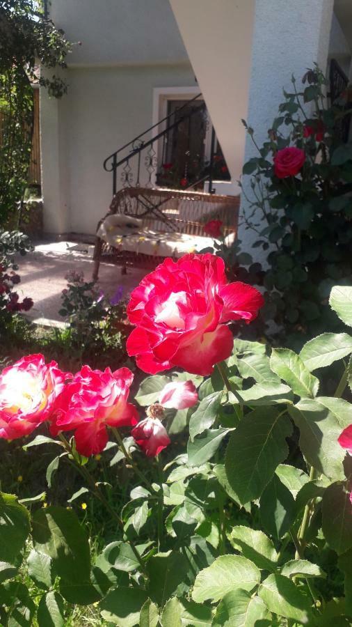 Casa Maria Retezat Hostal Nucsoara  Exterior foto